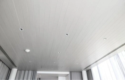 untitled design (8)